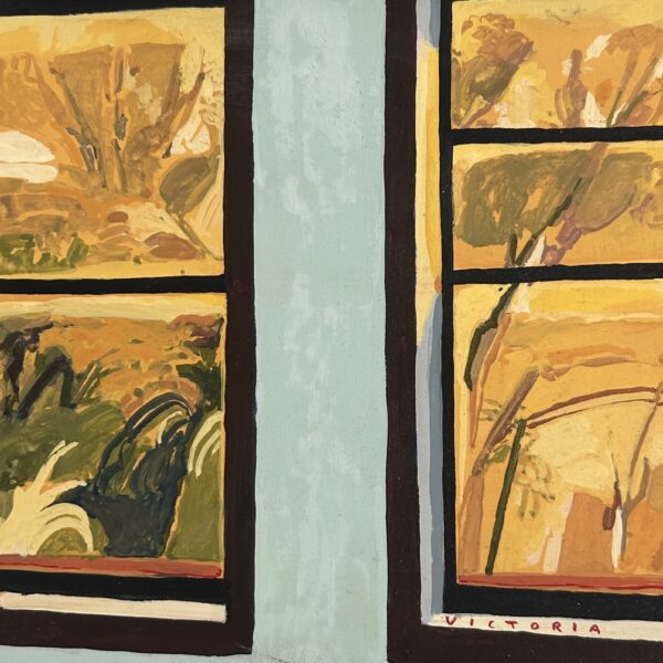 Canadian Wildfires as seen from New York window